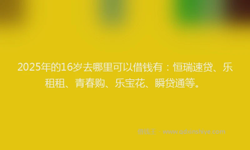 2025年的16岁去哪里可以借钱有：恒瑞速贷、乐租租、青春购、乐宝花、瞬贷通等。