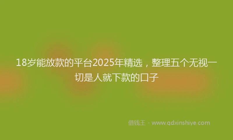 18岁能放款的平台2025年精选，整理五个无视一切是人就下款的口子