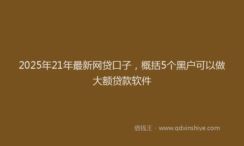 2025年21年最新网贷口子，概括5个黑户可以做大额贷款软件