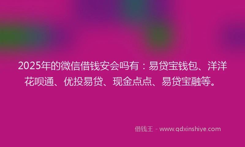 2025年的微信借钱安会吗有：易贷宝钱包、洋洋花呗通、优投易贷、现金点点、易贷宝融等。