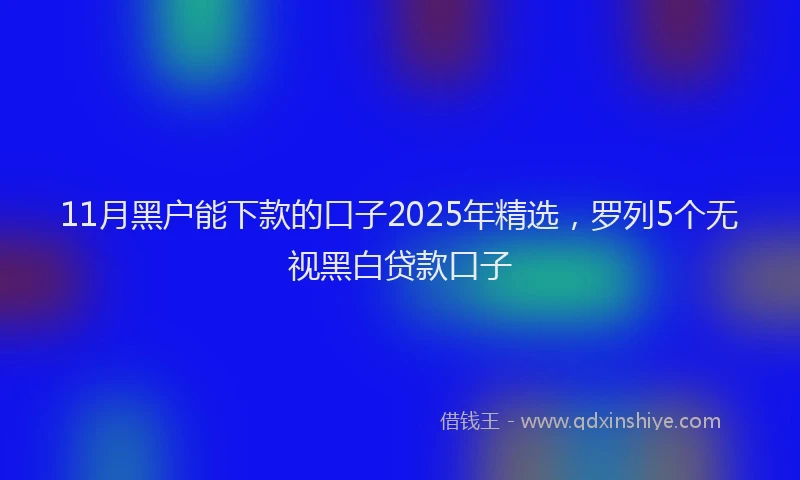 11月黑户能下款的口子2025年精选，罗列5个无视黑白贷款口子