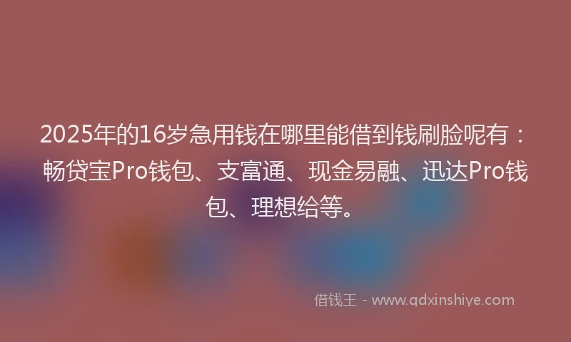 2025年的16岁急用钱在哪里能借到钱刷脸呢有：畅贷宝Pro钱包、支富通、现金易融、迅达Pro钱包、理想给等。