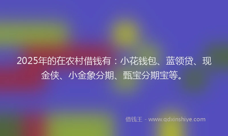 2025年的在农村借钱有：小花钱包、蓝领贷、现金侠、小金象分期、甄宝分期宝等。
