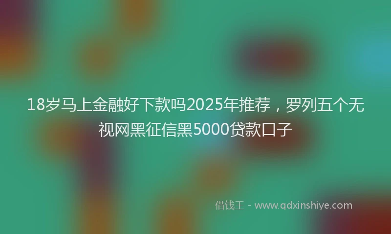 18岁马上金融好下款吗2025年推荐，罗列五个无视网黑征信黑5000贷款口子