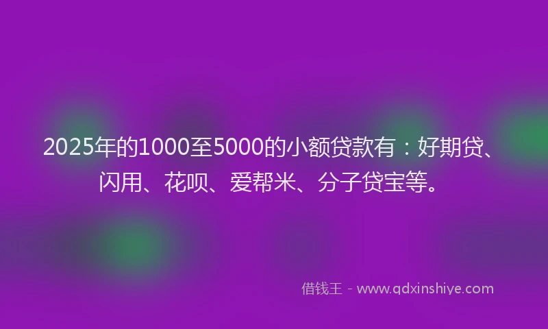 2025年的1000至5000的小额贷款有：好期贷、闪用、花呗、爱帮米、分子贷宝等。