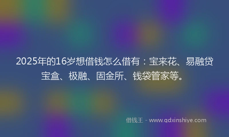 2025年的16岁想借钱怎么借有：宝来花、易融贷宝盒、极融、固金所、钱袋管家等。