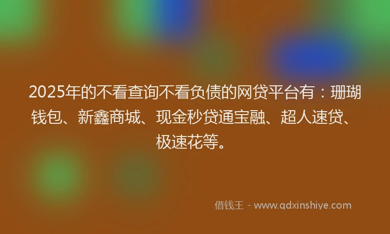 2025年的不看查询不看负债的网贷平台有：珊瑚钱包、新鑫商城、现金秒贷通宝融、超人速贷、极速花等。