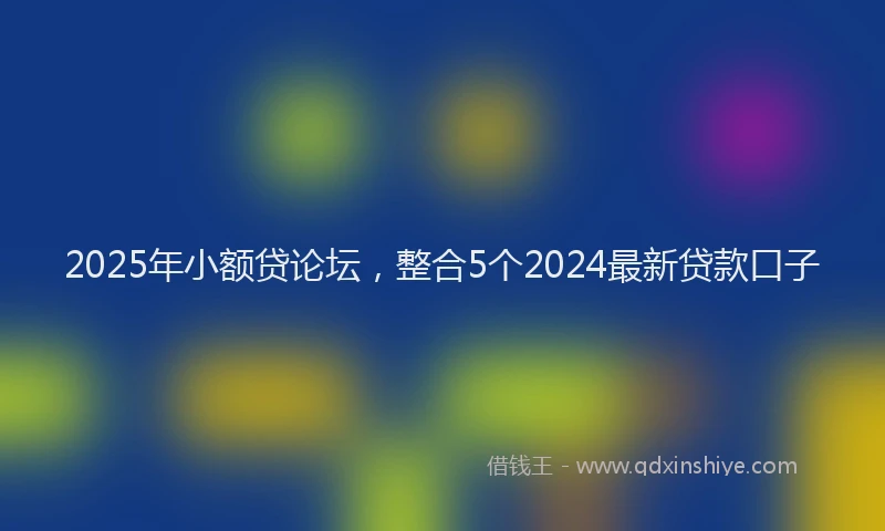 2025年小额贷论坛，整合5个2024最新贷款口子