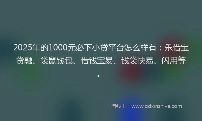 2025年的1000元必下小贷平台怎么样有：乐借宝贷融、袋鼠钱包、借钱宝易、钱袋快易、闪用等。
