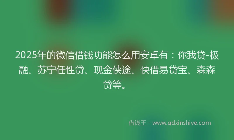 2025年的微信借钱功能怎么用安卓有：你我贷-极融、苏宁任性贷、现金侠途、快借易贷宝、森森贷等。