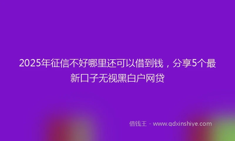 2025年征信不好哪里还可以借到钱，分享5个最新口子无视黑白户网贷