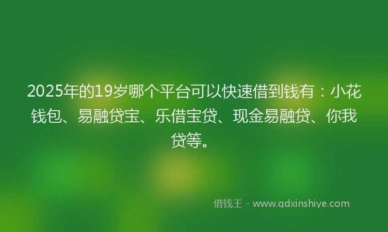 2025年的19岁哪个平台可以快速借到钱有：小花钱包、易融贷宝、乐借宝贷、现金易融贷、你我贷等。