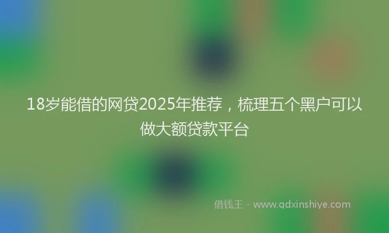 18岁能借的网贷2025年推荐，梳理五个黑户可以做大额贷款平台