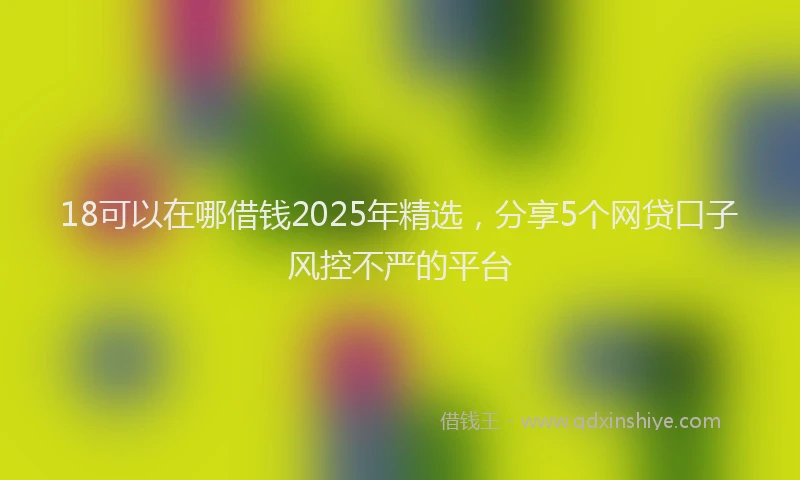 18可以在哪借钱2025年精选，分享5个网贷口子风控不严的平台