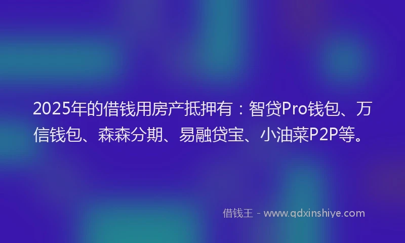 2025年的借钱用房产抵押有：智贷Pro钱包、万信钱包、森森分期、易融贷宝、小油菜P2P等。