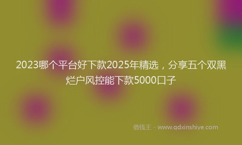 2023哪个平台好下款2025年精选，分享五个双黑烂户风控能下款5000口子