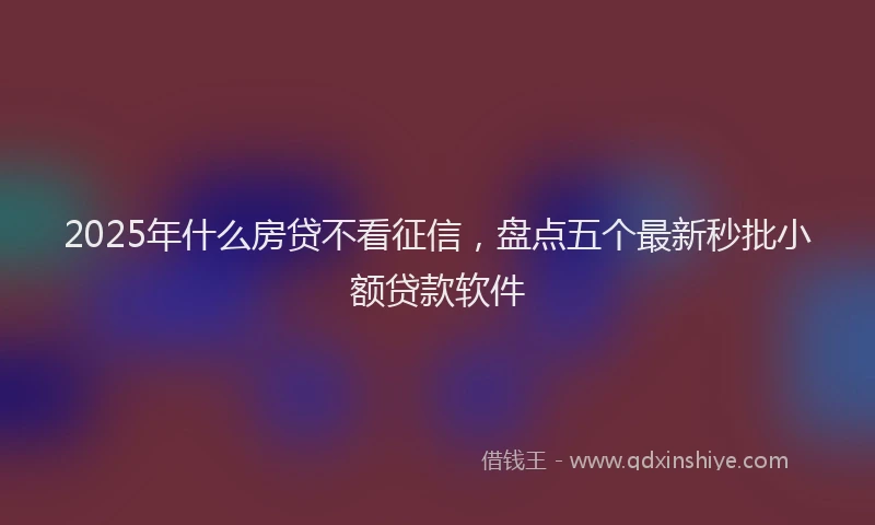 2025年什么房贷不看征信，盘点五个最新秒批小额贷款软件