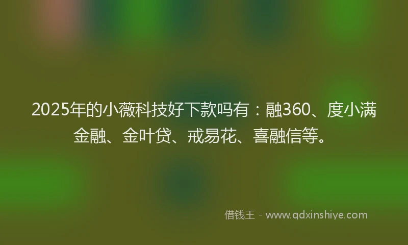 2025年的小薇科技好下款吗有：融360、度小满金融、金叶贷、戒易花、喜融信等。