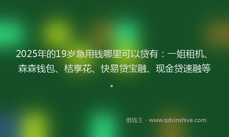 2025年的19岁急用钱哪里可以贷有：一姐租机、森森钱包、桔享花、快易贷宝融、现金贷速融等。