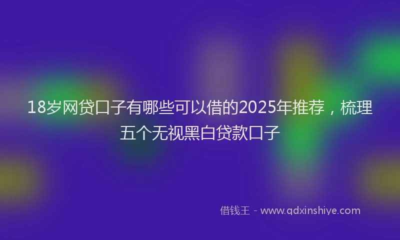 18岁网贷口子有哪些可以借的2025年推荐，梳理五个无视黑白贷款口子