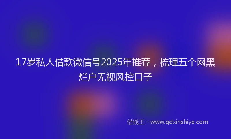 17岁私人借款微信号2025年推荐，梳理五个网黑烂户无视风控口子
