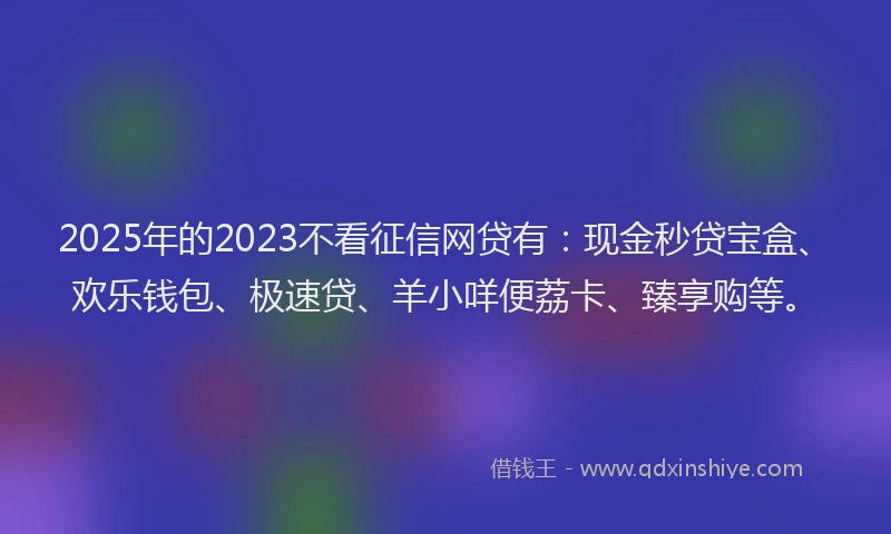 2025年的2023不看征信网贷有：现金秒贷宝盒、欢乐钱包、极速贷、羊小咩便荔卡、臻享购等。
