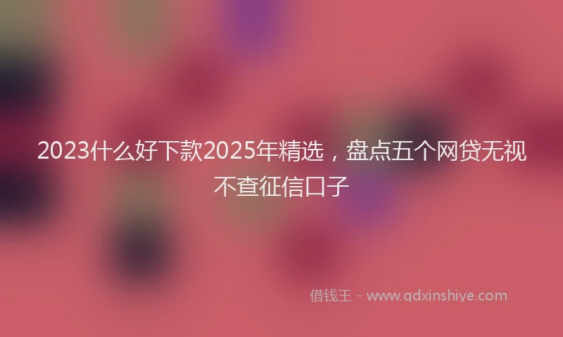 2023什么好下款2025年精选，盘点五个网贷无视不查征信口子