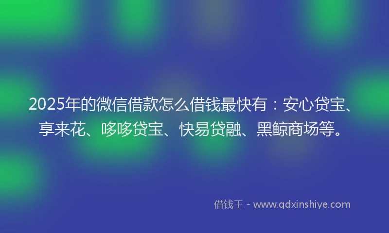 2025年的微信借款怎么借钱最快有：安心贷宝、享来花、哆哆贷宝、快易贷融、黑鲸商场等。