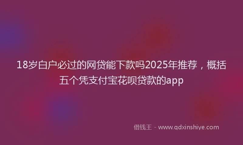 18岁白户必过的网贷能下款吗2025年推荐，概括五个凭支付宝花呗贷款的app