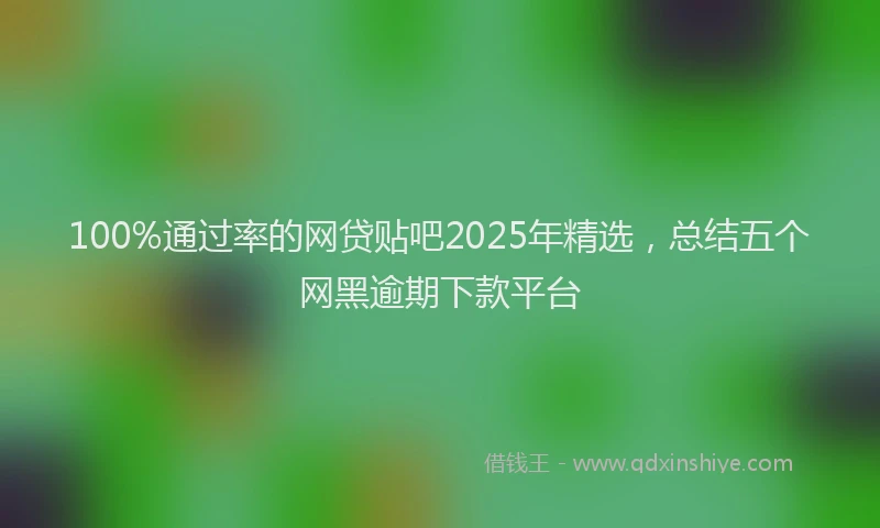 100%通过率的网贷贴吧2025年精选，总结五个网黑逾期下款平台