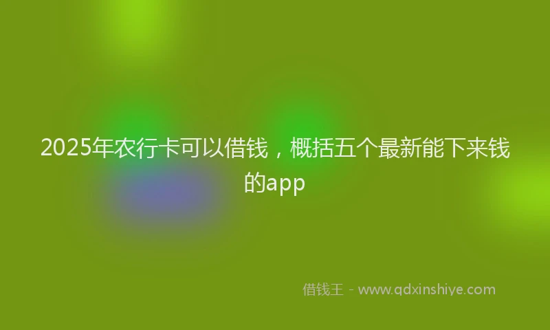 2025年农行卡可以借钱，概括五个最新能下来钱的app