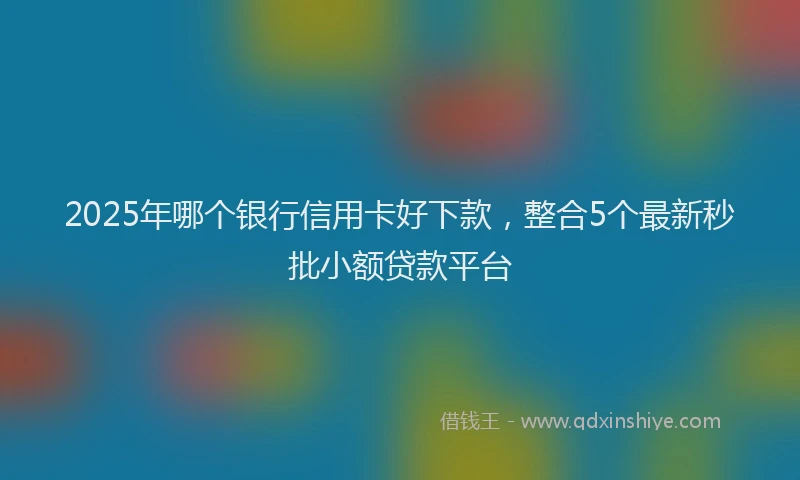 2025年哪个银行信用卡好下款，整合5个最新秒批小额贷款平台
