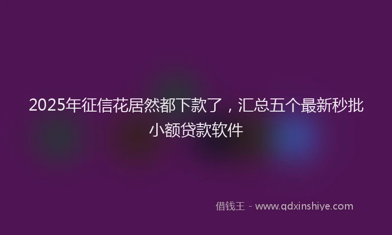 2025年征信花居然都下款了，汇总五个最新秒批小额贷款软件