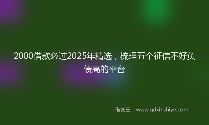 2000借款必过2025年精选，梳理五个征信不好负债高的平台
