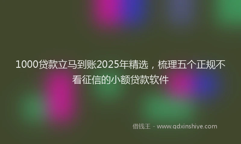 1000贷款立马到账2025年精选，梳理五个正规不看征信的小额贷款软件