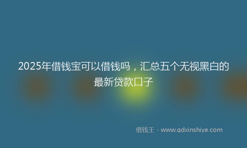 2025年借钱宝可以借钱吗，汇总五个无视黑白的最新贷款口子