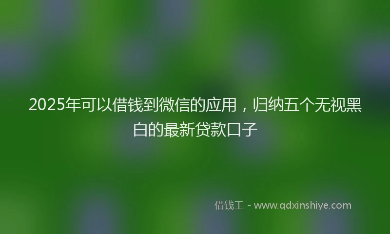 2025年可以借钱到微信的应用，归纳五个无视黑白的最新贷款口子