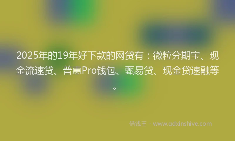 2025年的19年好下款的网贷有：微粒分期宝、现金流速贷、普惠Pro钱包、甄易贷、现金贷速融等。