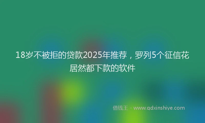 18岁不被拒的贷款2025年推荐，罗列5个征信花居然都下款的软件