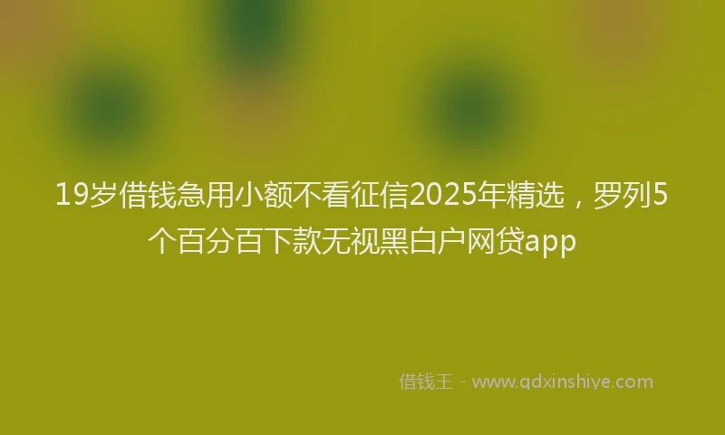 19岁借钱急用小额不看征信2025年精选，罗列5个百分百下款无视黑白户网贷app