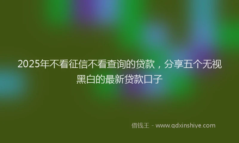 2025年不看征信不看查询的贷款，分享五个无视黑白的最新贷款口子