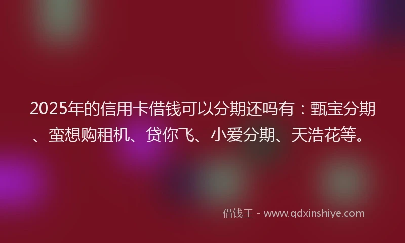 2025年的信用卡借钱可以分期还吗有：甄宝分期、蛮想购租机、贷你飞、小爱分期、天浩花等。