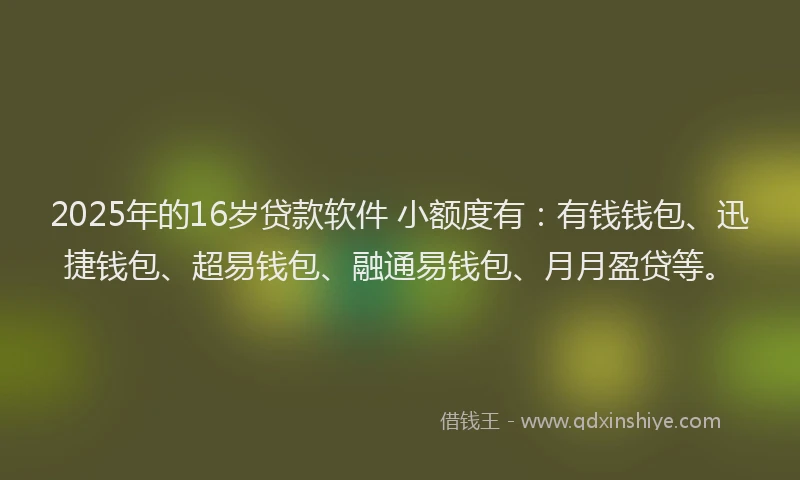 2025年的16岁贷款软件 小额度有：有钱钱包、迅捷钱包、超易钱包、融通易钱包、月月盈贷等。