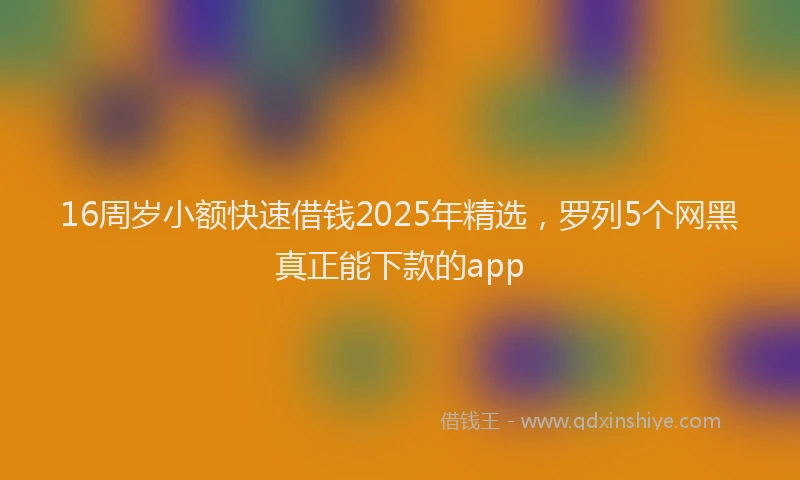 16周岁小额快速借钱2025年精选，罗列5个网黑真正能下款的app