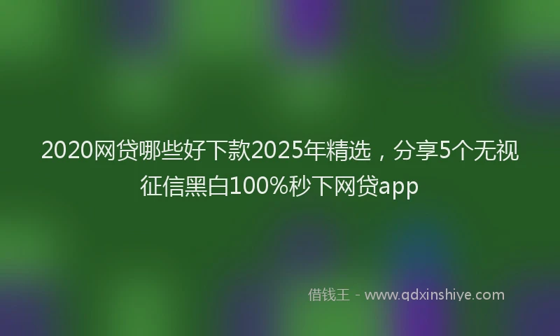 2020网贷哪些好下款2025年精选，分享5个无视征信黑白100%秒下网贷app