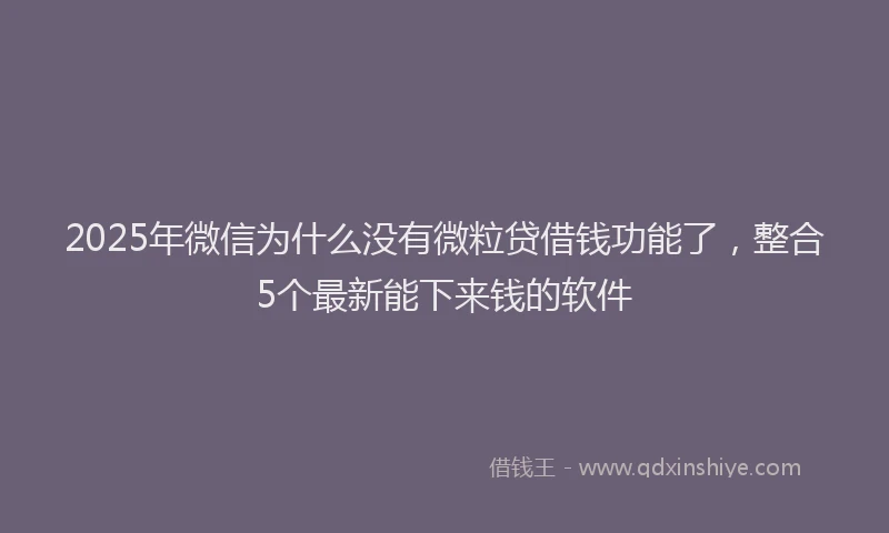 2025年微信为什么没有微粒贷借钱功能了，整合5个最新能下来钱的软件