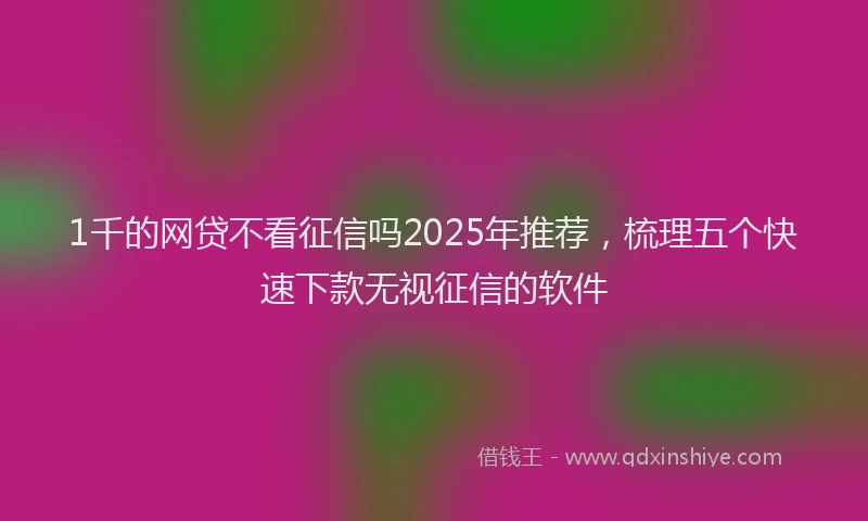 1千的网贷不看征信吗2025年推荐，梳理五个快速下款无视征信的软件
