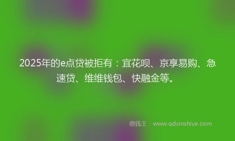 2025年的e点贷被拒有：宜花呗、京享易购、急速贷、维维钱包、快融金等。