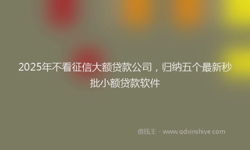 2025年不看征信大额贷款公司，归纳五个最新秒批小额贷款软件