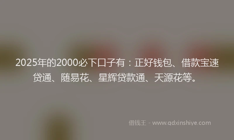 2025年的2000必下口子有：正好钱包、借款宝速贷通、随易花、星辉贷款通、天源花等。